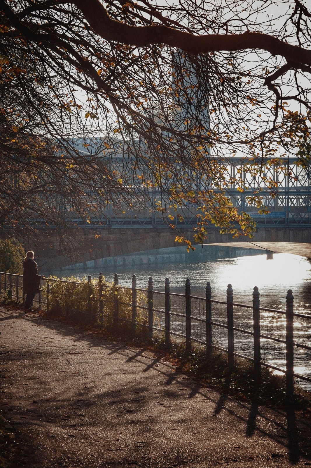 Herbstlicher Weg am Isarufer in München
