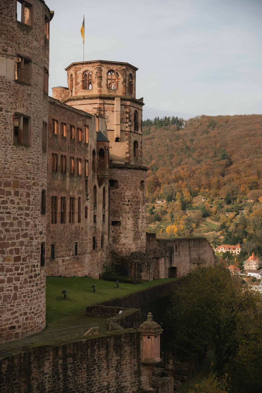 Heidelberger Schloss über herbstlichen Bäumen