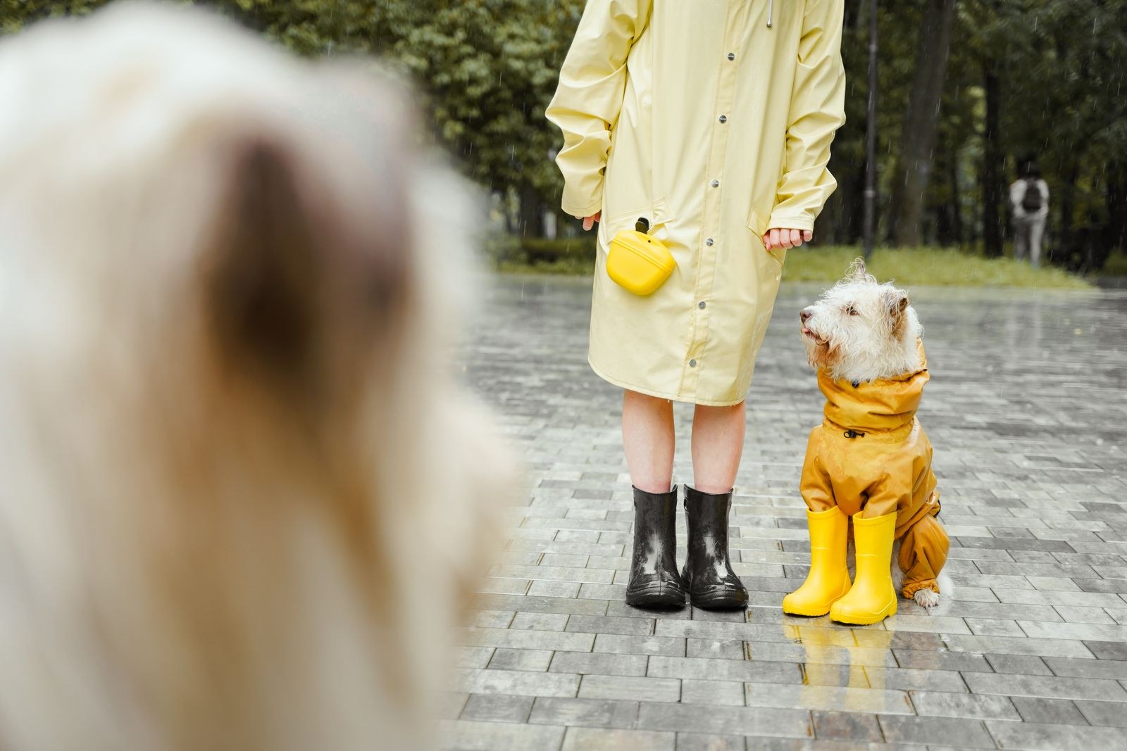 Regenmantel und Stiefel auf nassem Gehweg